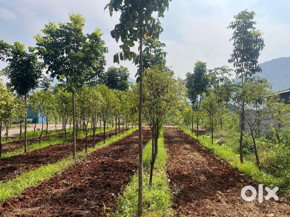 గుంటూరు మున్సిపాలిటీ లో అన్ని వసతులు కలిగిన వెంచర్