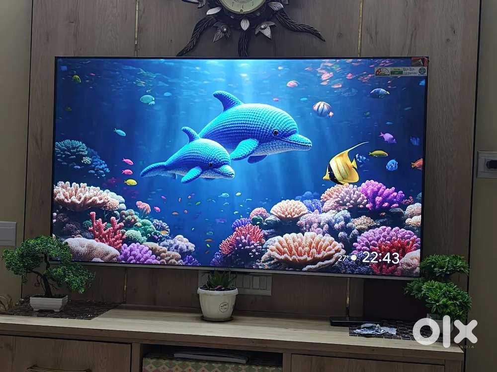 TCL QLED 55 tv under warranty LED