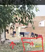 224 Gaj plot 12 feat ka rasta