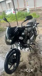 Palsar 150 in Good condition well maintain Lowest price