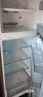 1 year old only