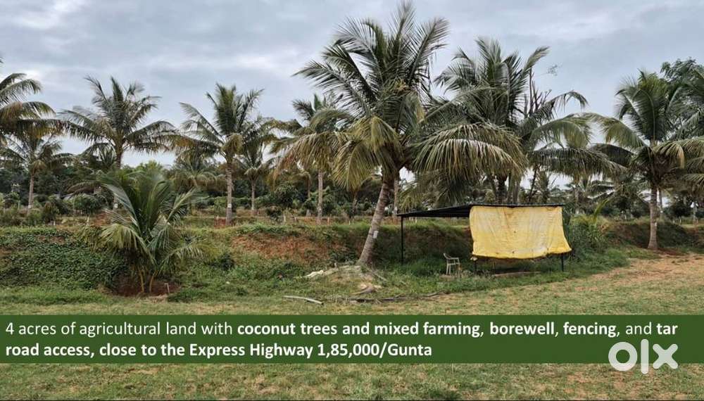 Agricultural lands for sale Bethamangala-KGF.2 -14 acre