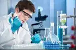 Driver Sales/Marketing-Trainee/Junior/Manager/Telecaller,Chemist, HR,