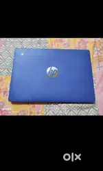 Hp chromebook touchscreen working good