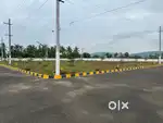 Gandi gundamma check post