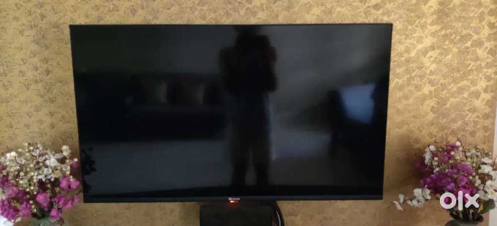 TV despriction