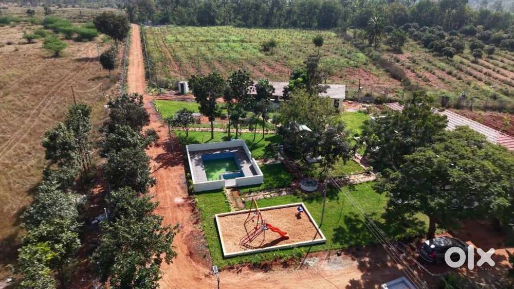 Green Gold Returns: Your Future in Sandalwood Farming Starts Here