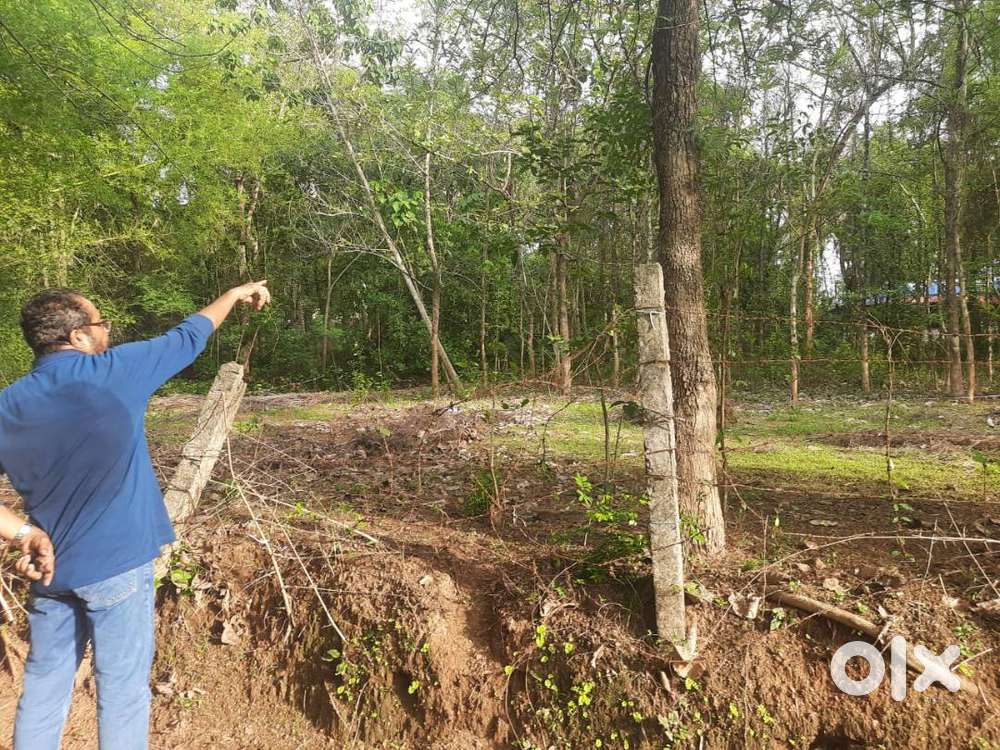 30 Cents Residential Land for Sale, Mankurussi, Palakkad