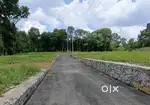 KOLLAPALLY 12,15 CENT HOUSE PLOT TAARING ROAD SIDE