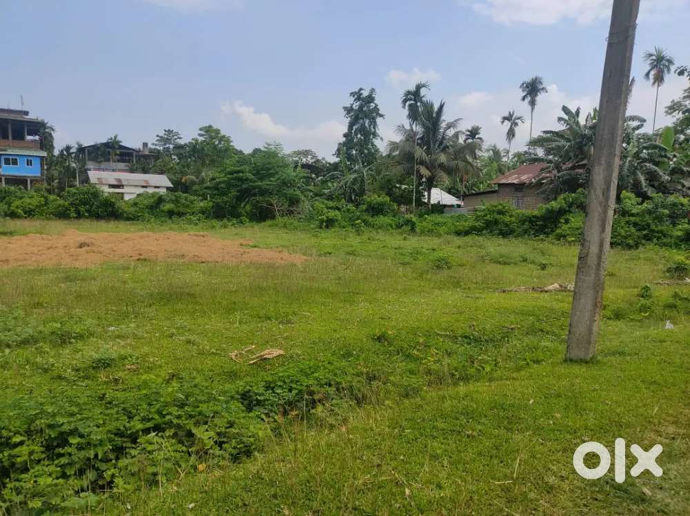 1 katha Land for sale near Kathiatoli chariali, Nagaon
