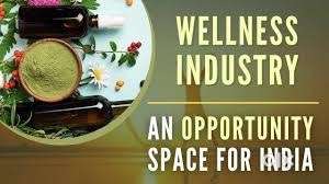 Health and Wellness industry