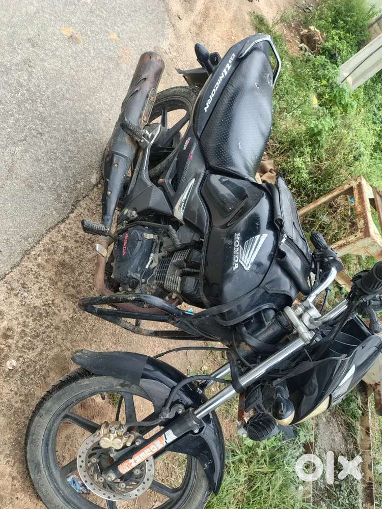 Unicorn 2019 model