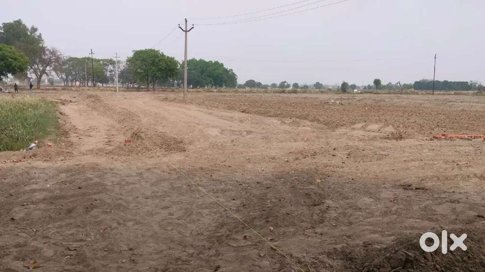 नोएडा सेक्टर-150 गढ़ी समस्तीपुर गांव में प्लॉट ही प्लॉट ।