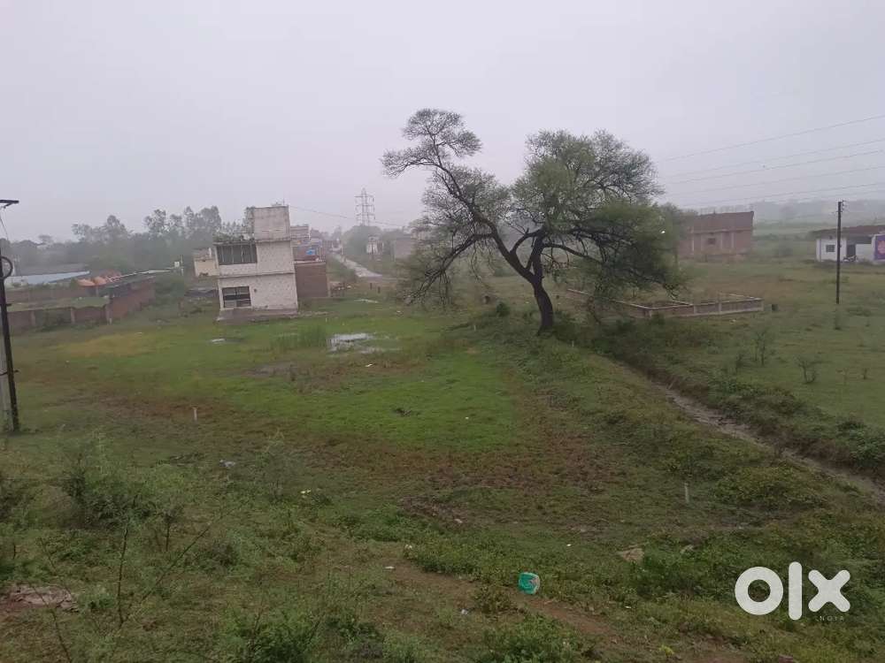 jp rewa  bypass service road urgent sell