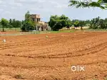 DTCP&RERA APPROVED PLOTS SALE  AT ANNUR NEAR JUST 3.25L