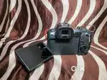 Canon r camera body