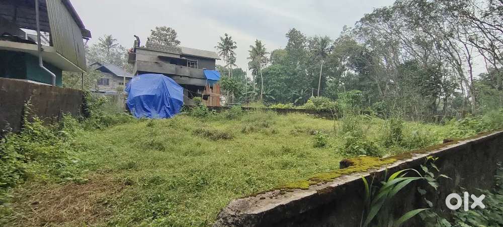 Palikkara near infopark 6 cent plot for sale per cent 6 lakhs