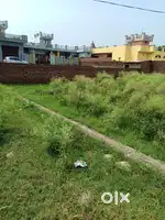 Plot at saari all documents