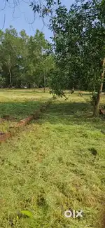 8 cent Housing Plot at Pariyaram Embet