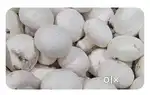 Mushroom farming