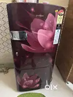 4star 3y old