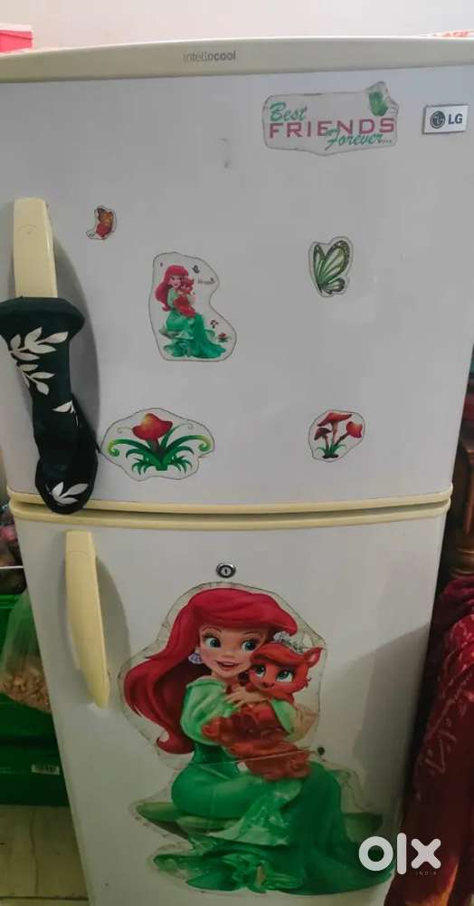 Double door,
265 ltrs
LG brand
In good condition