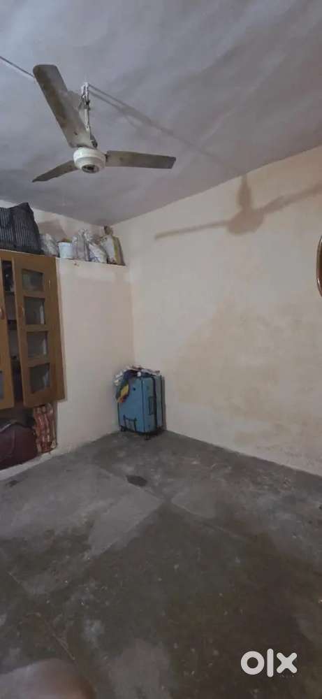 Need a female roommate