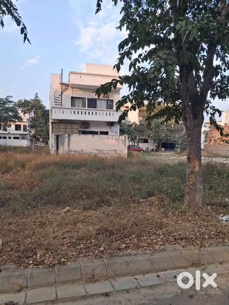 161 गज Residential Plot for Sale  Alpha International City, Karnal