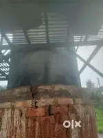 Fire bricks for sale & 3k ltr SS tank & compressor