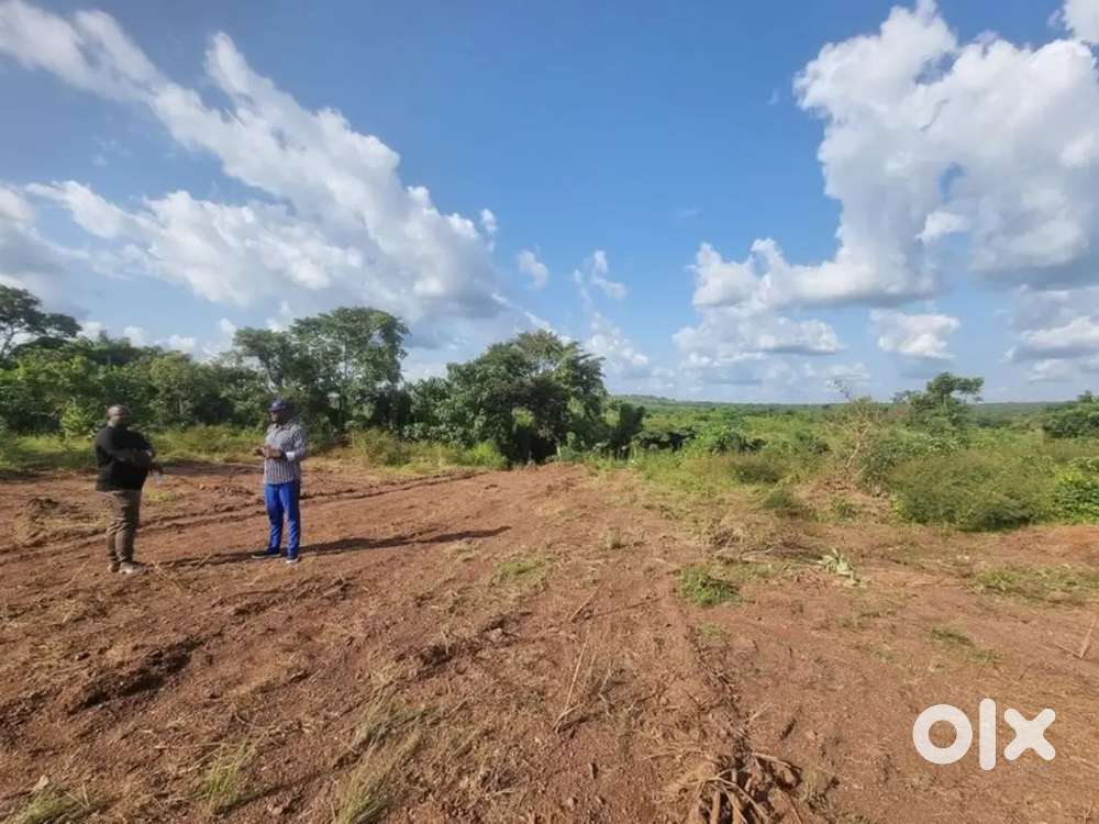 Baputola kaali mandin ke piche plot 500rs SF