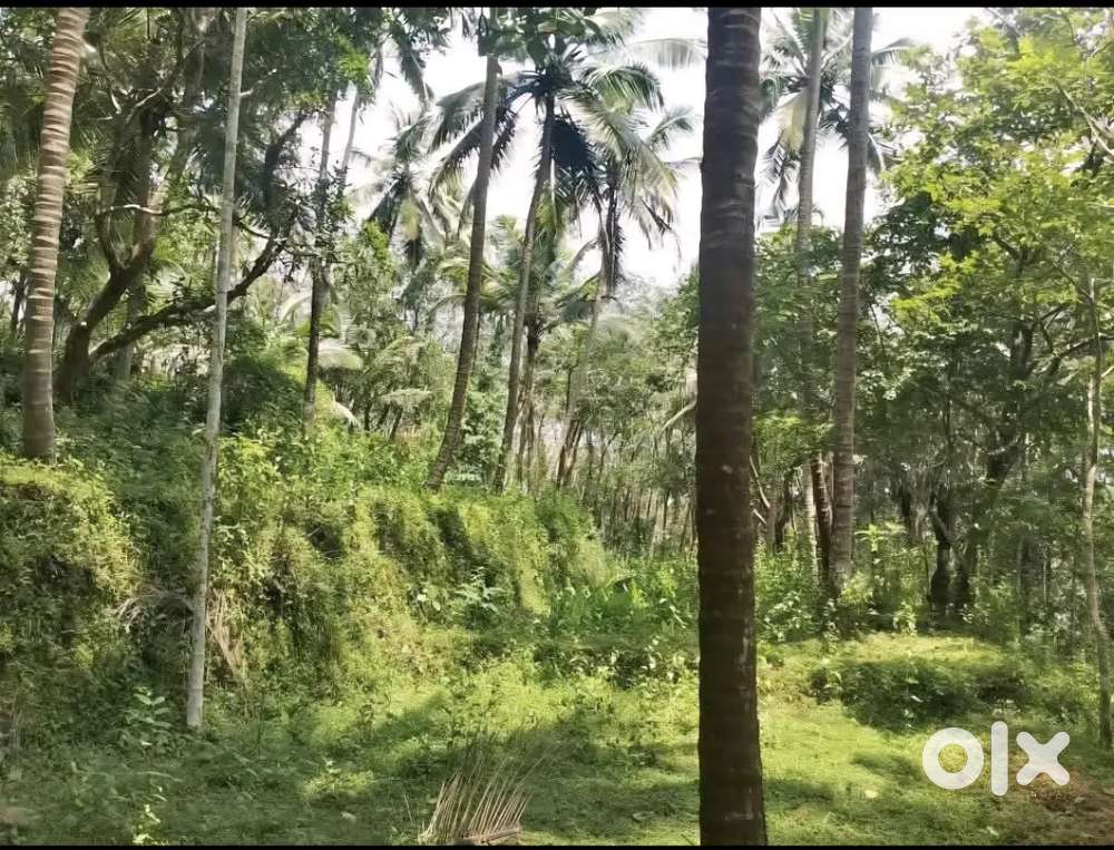 Plot for sale in koothatukulam