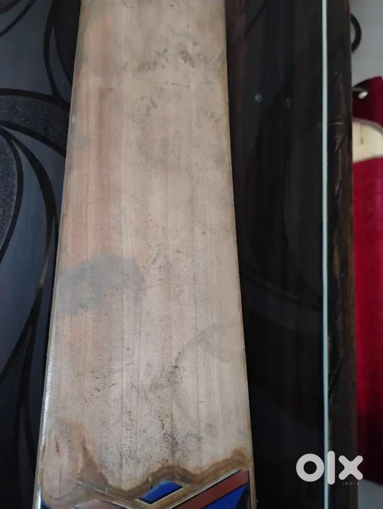 SS Kashmiri willow cricket bat
