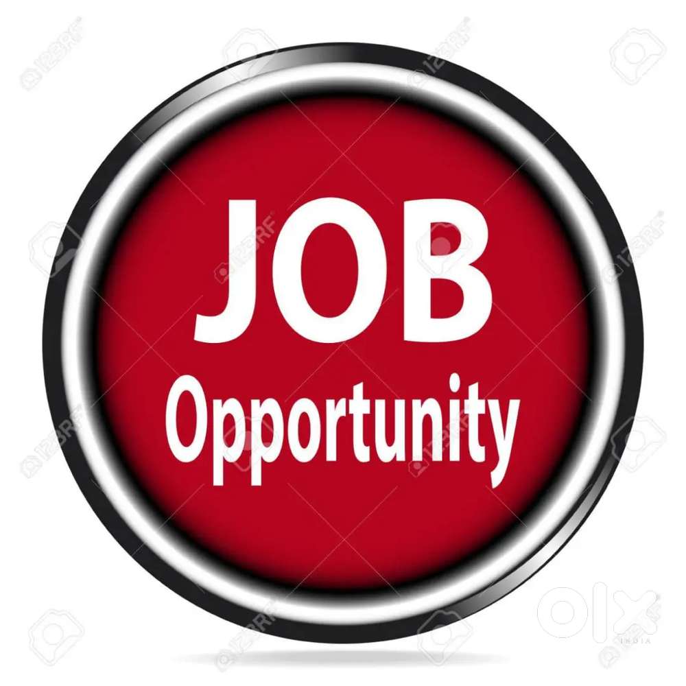 JOB OPPORTUNITY