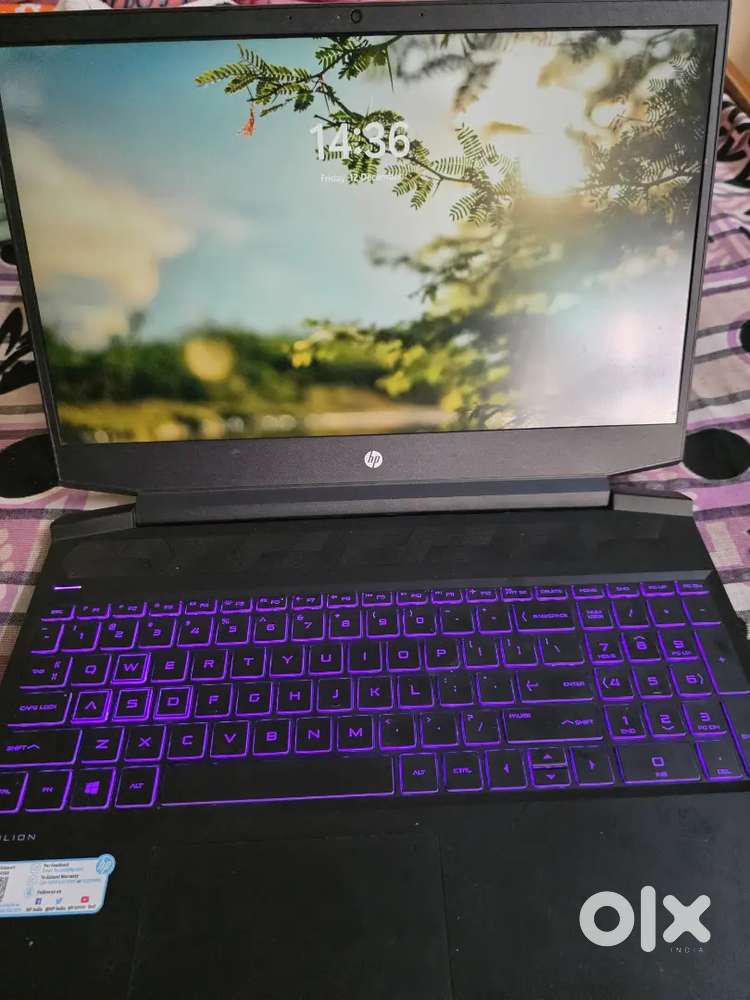 Hp pavillion laptop 2021 last