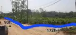 Signal Angami.. 620 prsqft slightly negotiable