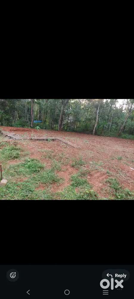 7 CENT RESIDENTIAL PLOT SALE AT PALARIVATTOM ST MARTIN CHURCH 50 METRE