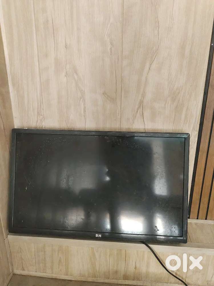 Bush Tv only screen damage