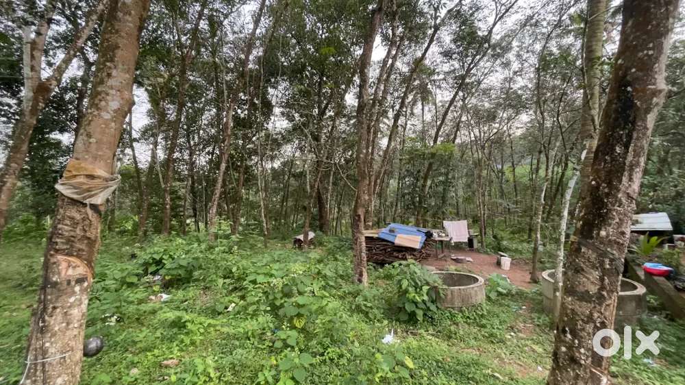 90 cent rubber land and a store room