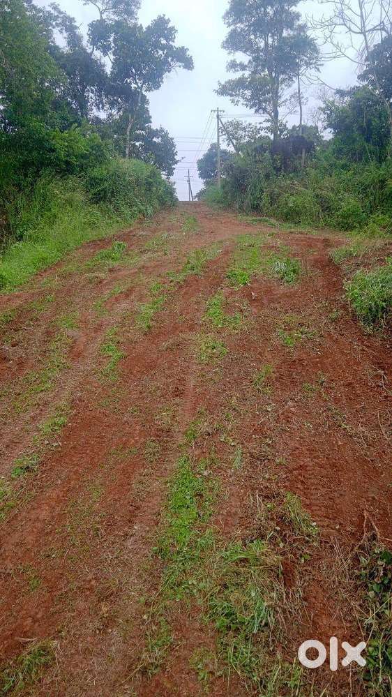 3.5 Acre land suitable for Resort