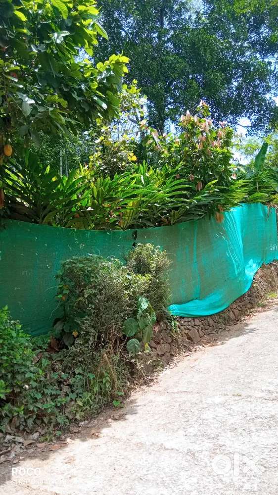 Rajakkad gap road hyve, rajakkad to plot 3 kilometre, 6.7 meeter front