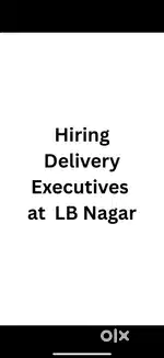 Bike Delivery Executives