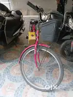 Electric cycle