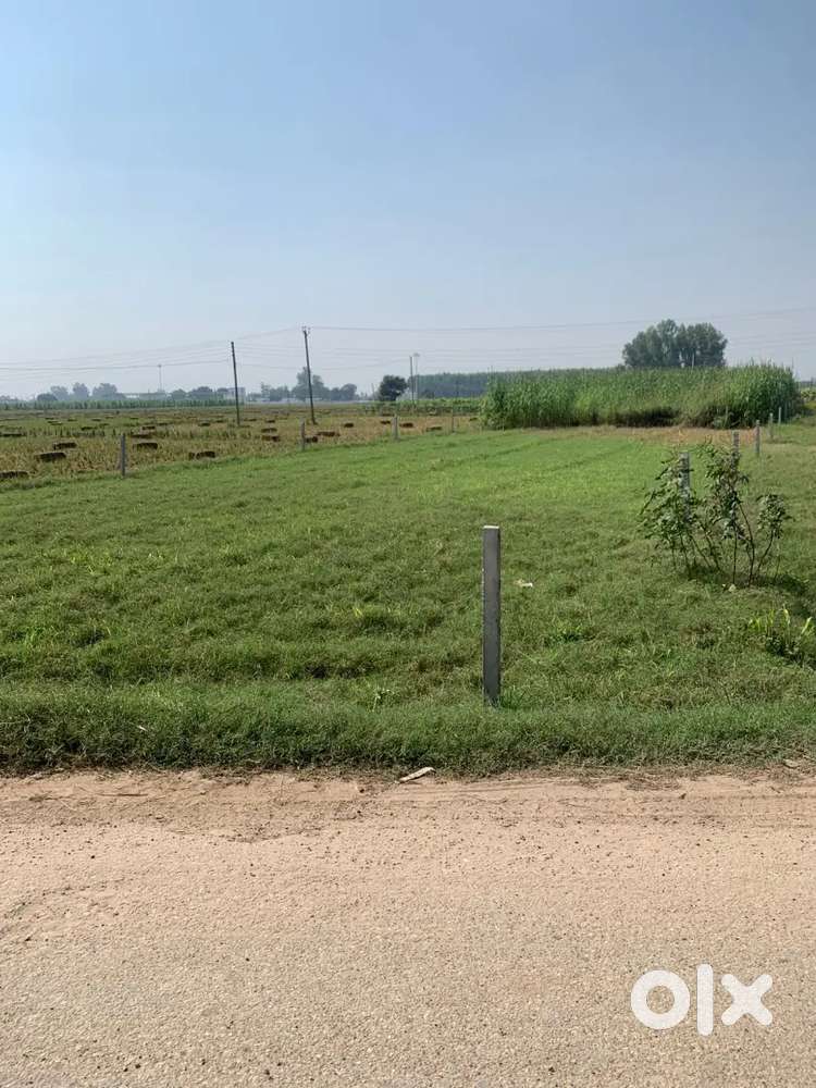 3 Knal Sale On Link Road (ਤਿੰਨ ਕਨਾਲ ਸੇਲ ਲਿੰਕ ਰੋਡ ਉਪਰ)