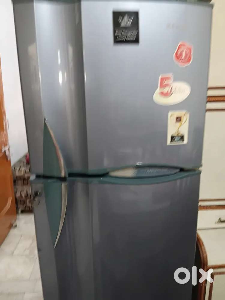 Electrolux 300 Litre Fridge for Home