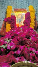 Jamin vechvani chhe