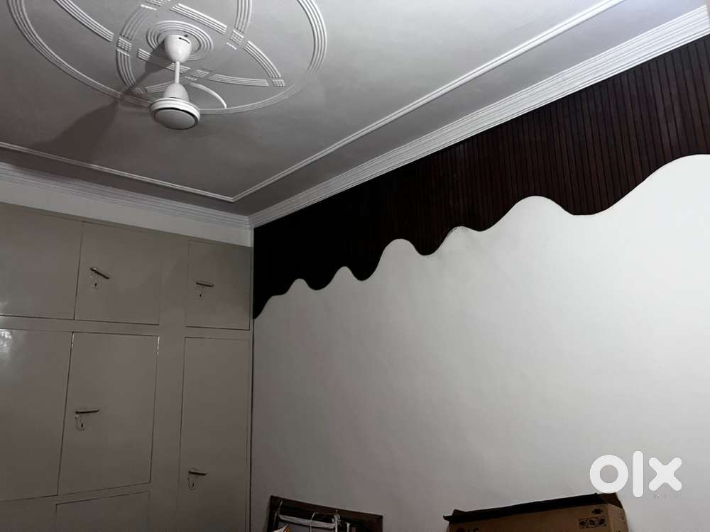 Fully furnished pg for girl with all amenties