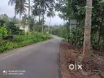 1.32 Acre Farm Land for Sale – Alathoor, Pulpally, Wayanad