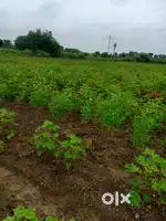 Road touch irrigation land sale