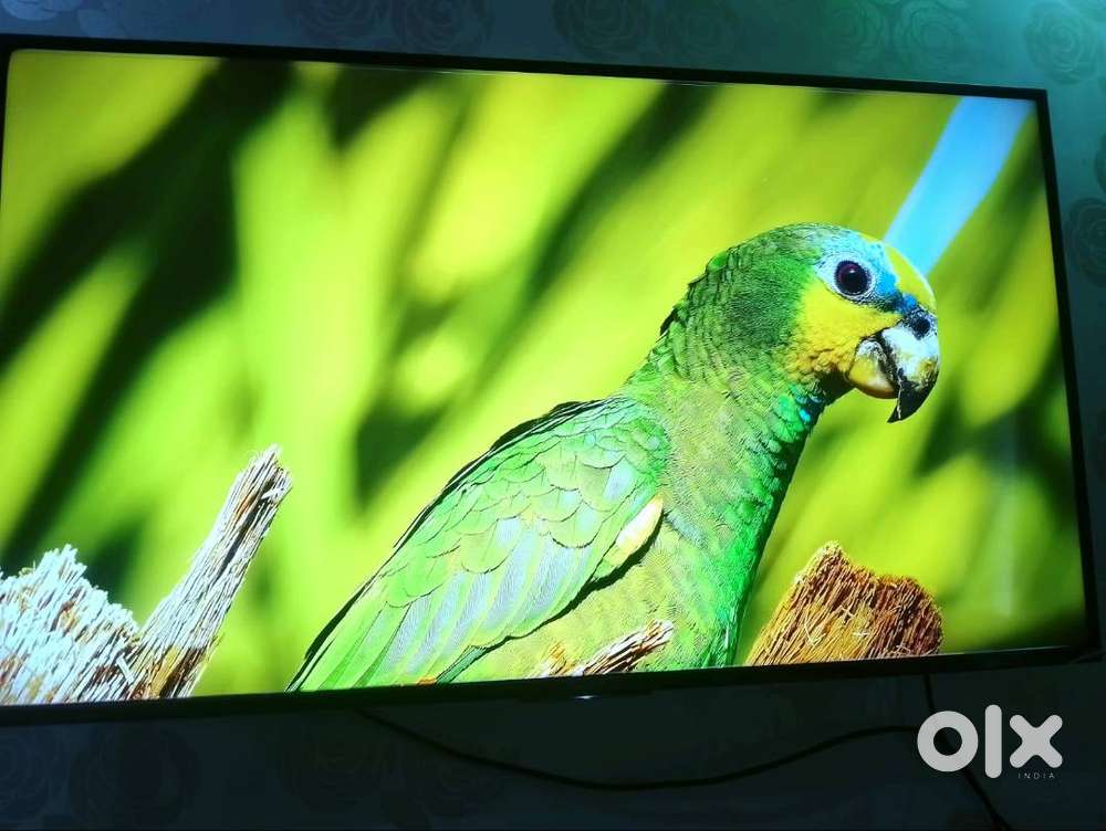 Sony Bravia 4k android Led TV 55