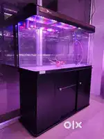 Phenomenal condition imported fish tank for sale